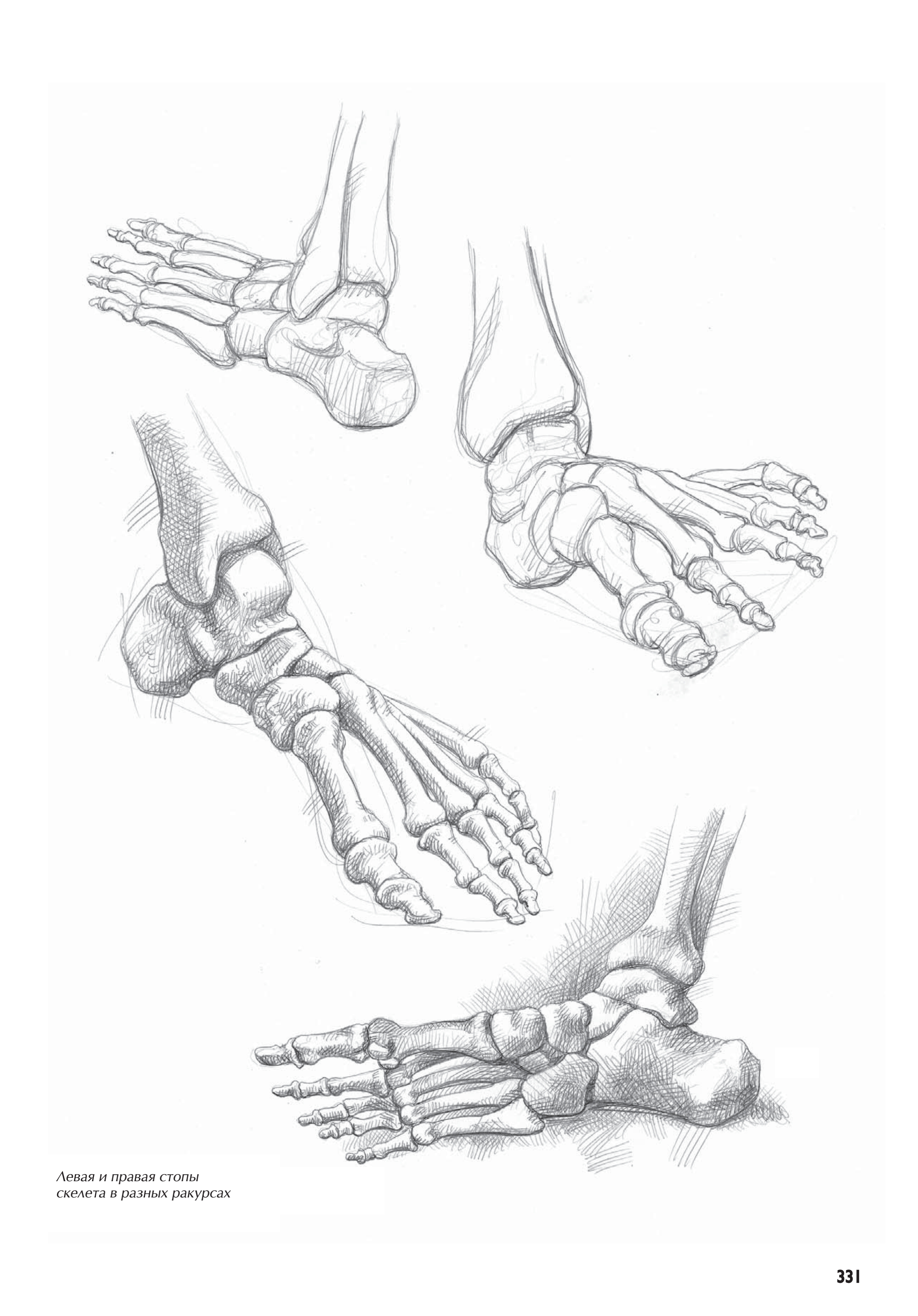 آموزش نقاشی طراحی سیاه قلم شهرری